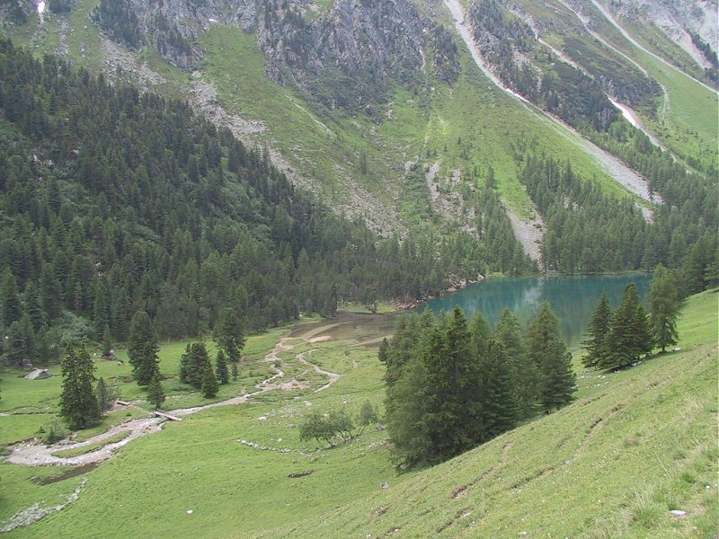 Suisse/Grisons/AlbulaPass/20010710/113-1324_imgg.jpg