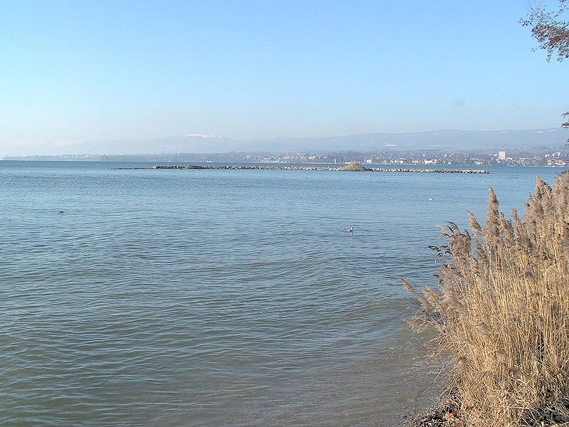 Suisse/Vaud/Preverenges/ile/20011202/imgg_3284.jpg