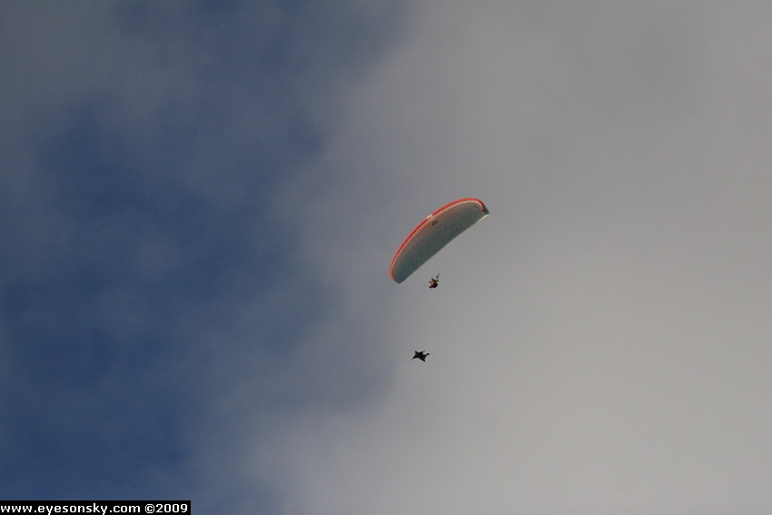 Fly-Parapente/SonchauxAcro/2009/part2/IMG_5437.JPG