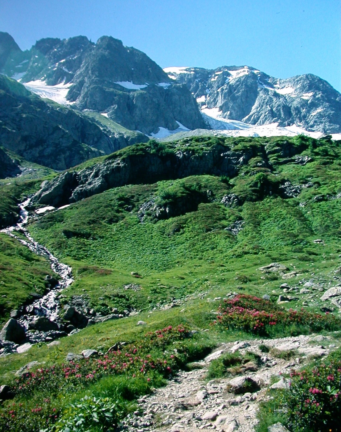 HauteSavoie/Buet/DSCN6034.jpg