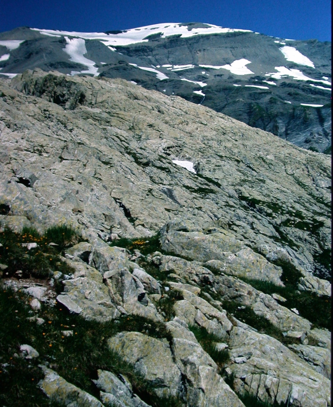 HauteSavoie/Buet/DSCN6036.jpg