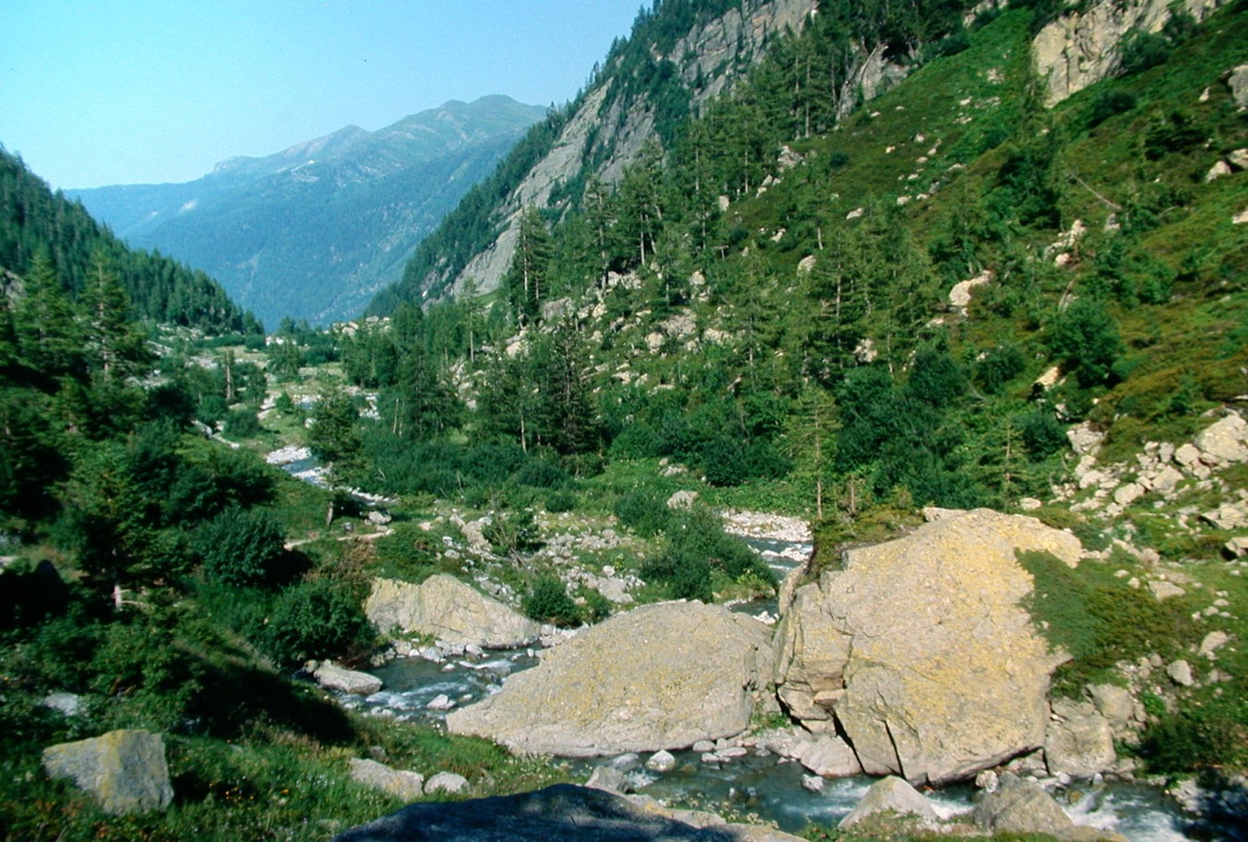HauteSavoie/Buet/DSCN6063.jpg