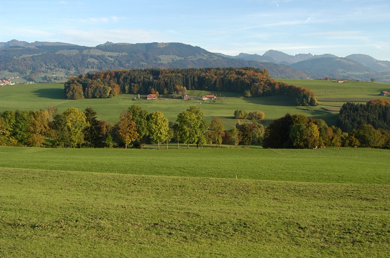 Suisse/Fribourg/Lac-Gruyere/20021013/part1/Dsc_1491g.jpg