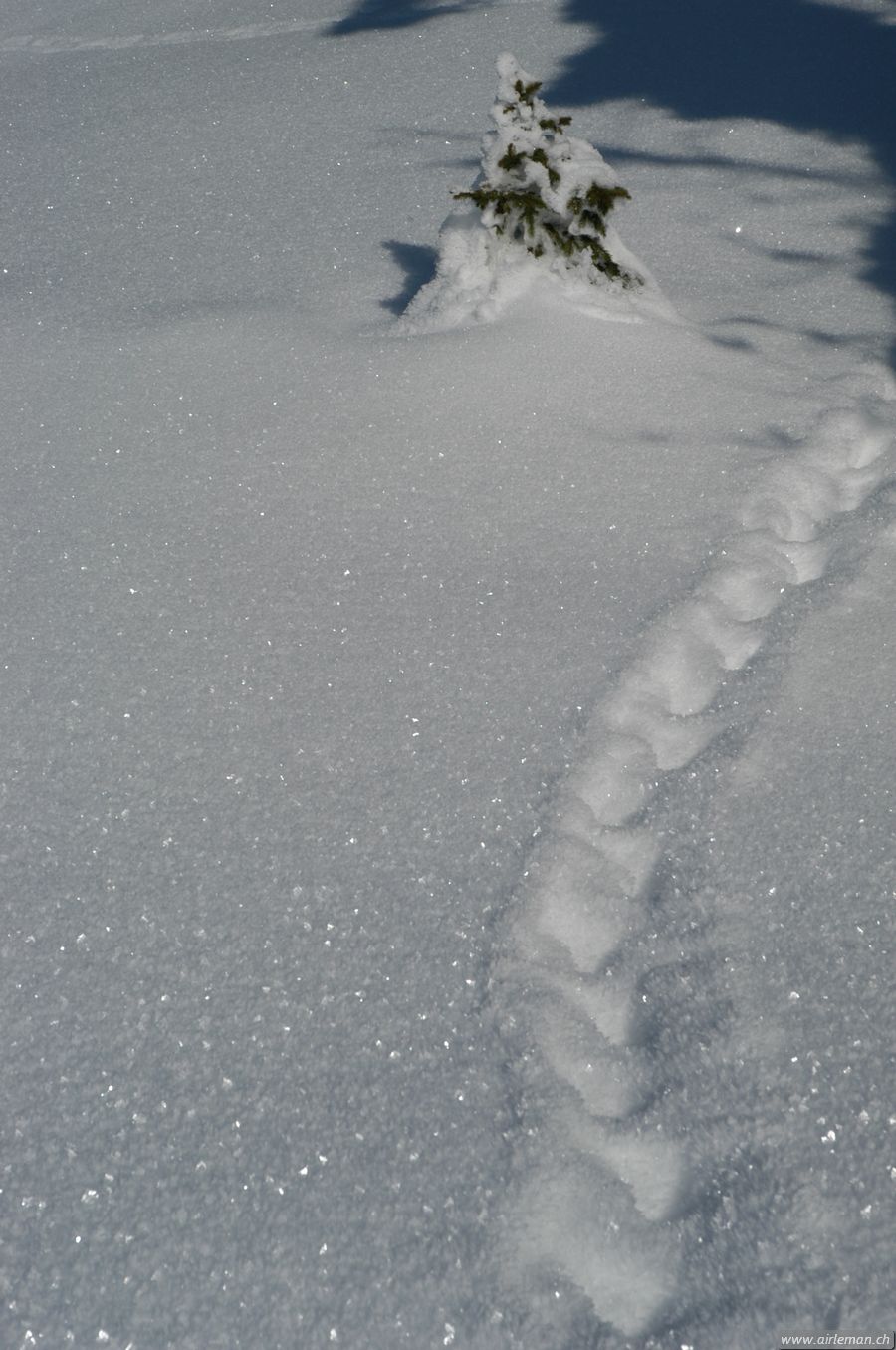 Suisse/Jura/20030215/DSC_4163.jpg