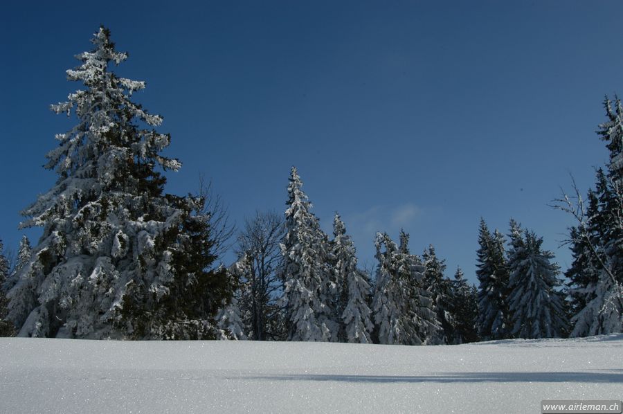Suisse/Jura/20030215/DSC_4168.jpg