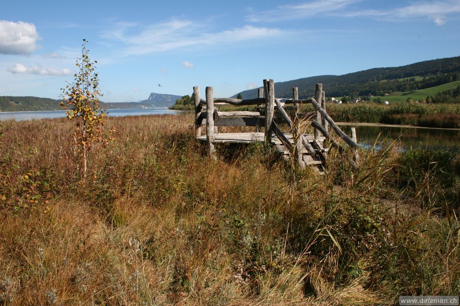 Suisse/Jura/LacdeJoux/20051008/IMG_2096.jpg