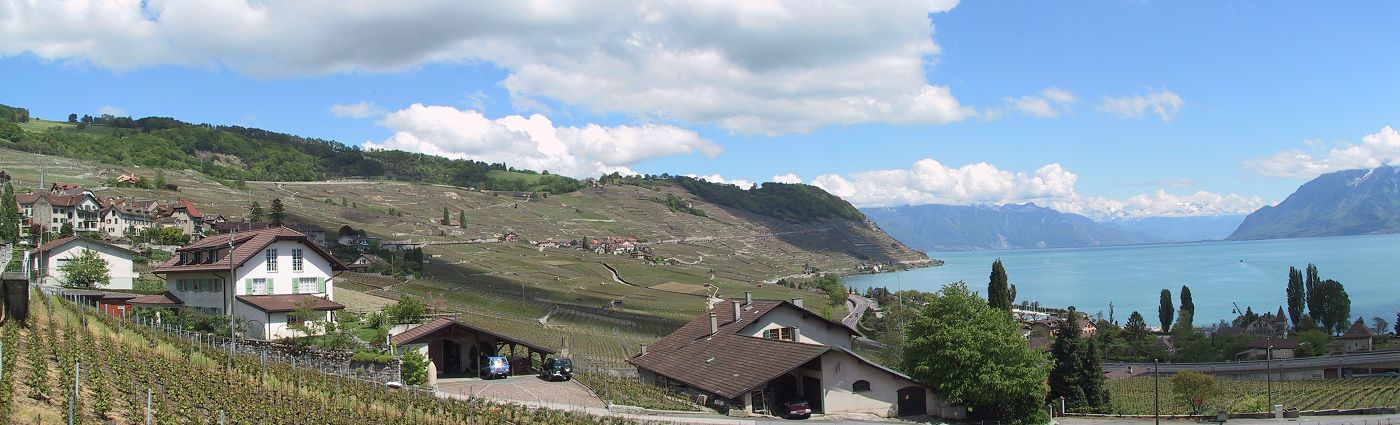 Suisse/Leman/Lavaux/pano3.jpg