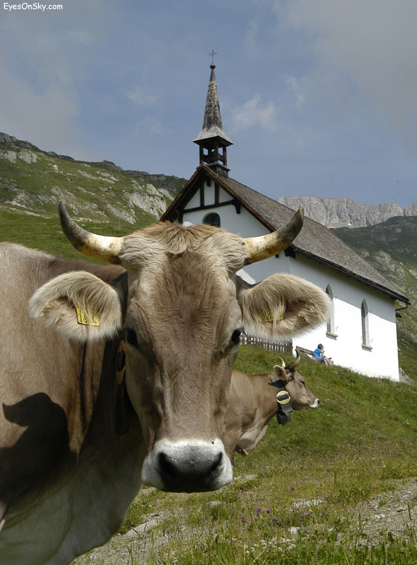 Suisse/Valais/Aletsch/20030627/DSC_1548.jpg