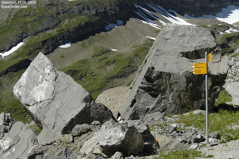 Suisse/Valais/Sanetsch/20030621/DSC_1412g.jpg