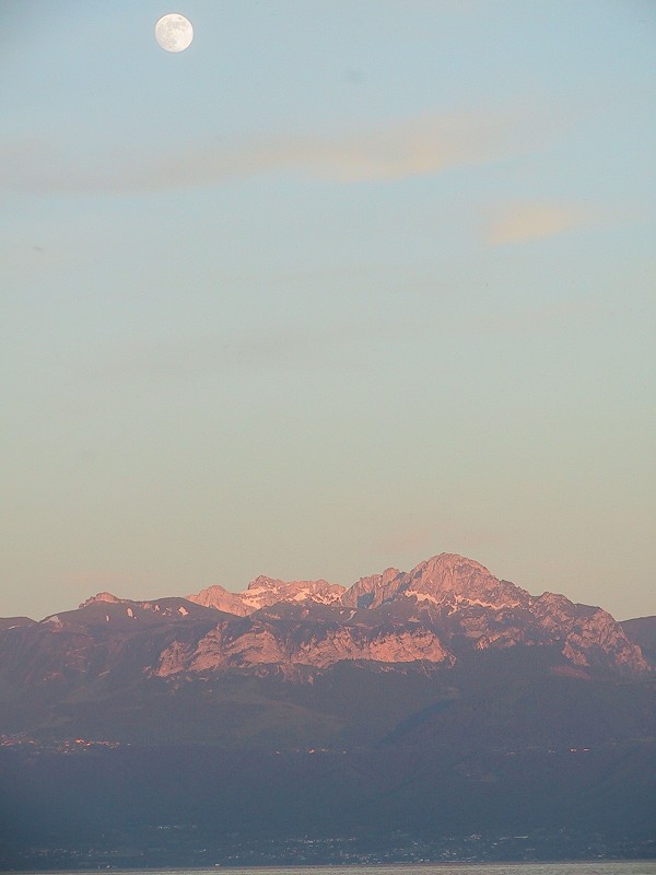 Suisse/Vaud/Morges/Oche/106-0704_imgg.jpg